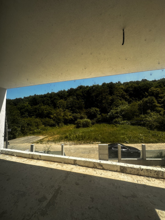 Case de vanzare Floresti Valea Garbaului 27