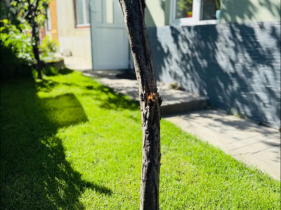 Apartamente de inchiriat Cluj-Napoca Zorilor / Hasdeu imagine mica 7